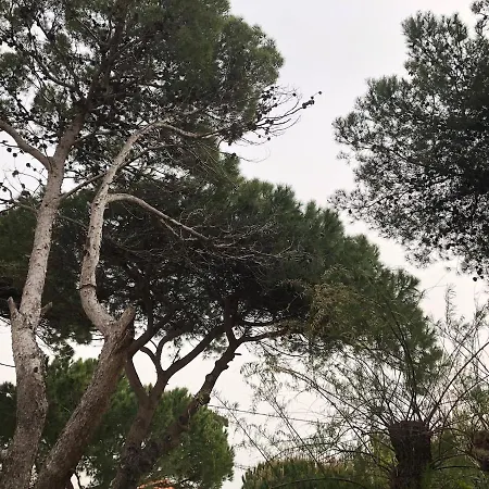 Maison Bord De Climatisee La Capte , Holiday home Hyeres